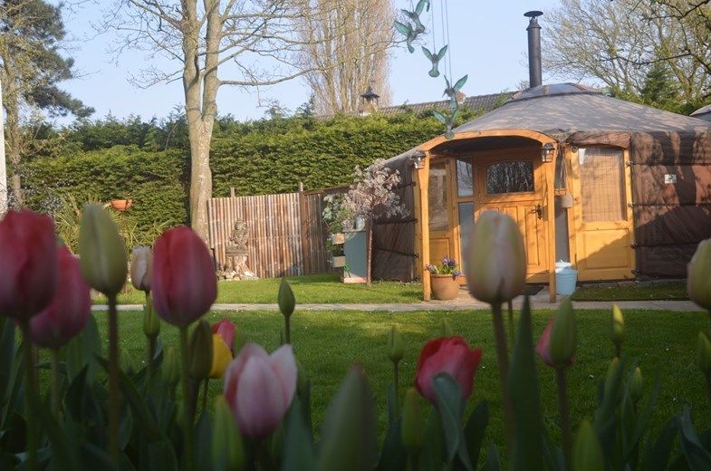 2. Romantische yurt met hot tub in Noord-Holland