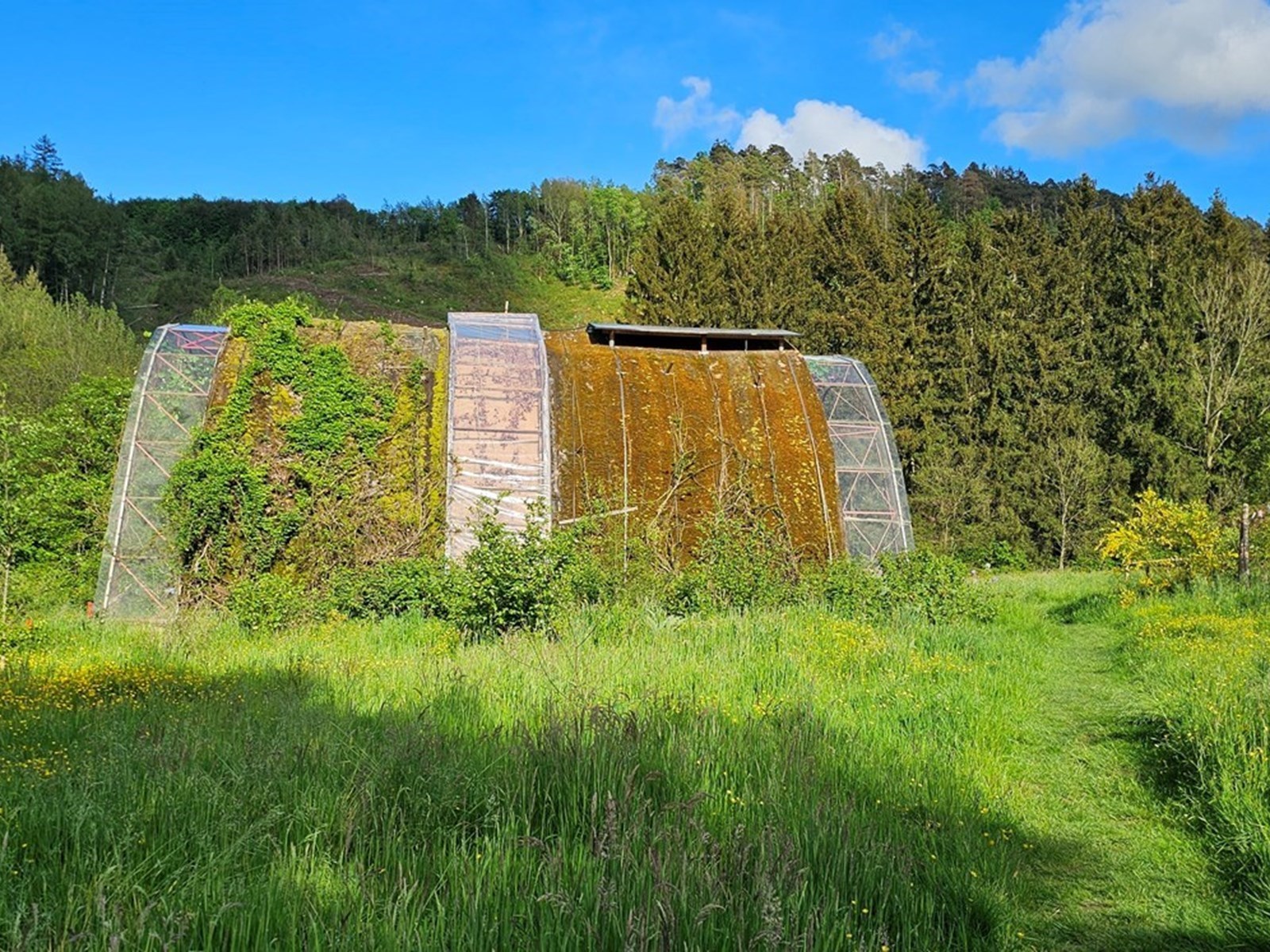 Wonen in en mét de natuur