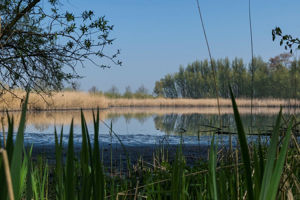 Overnachten in de Biesbosch: dit moet je weten en hier moet je zijn