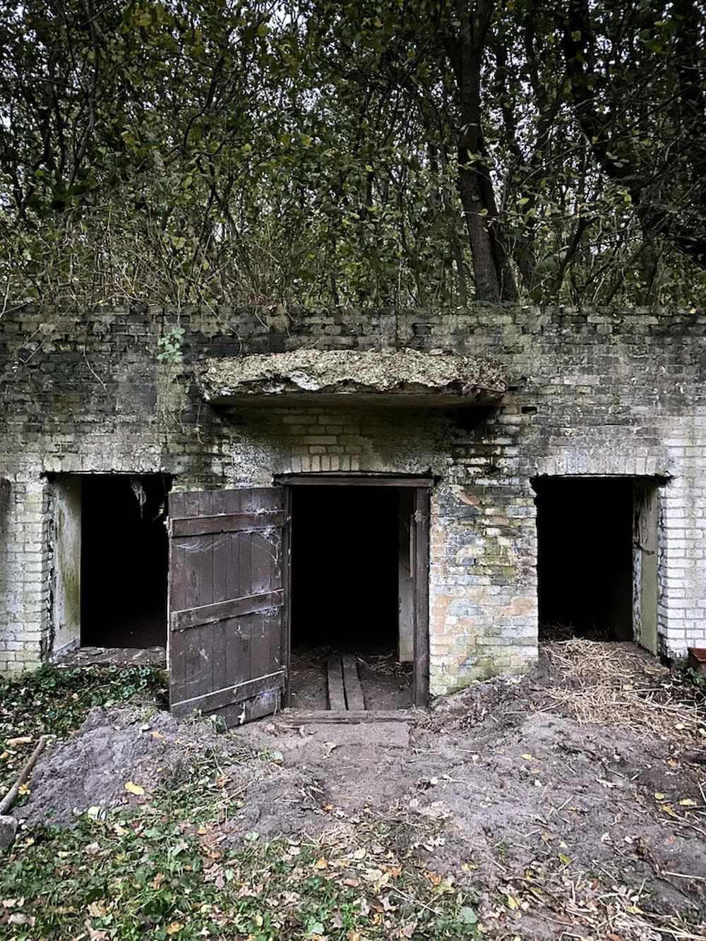 Van kippenhok naar bijzondere slaapplek