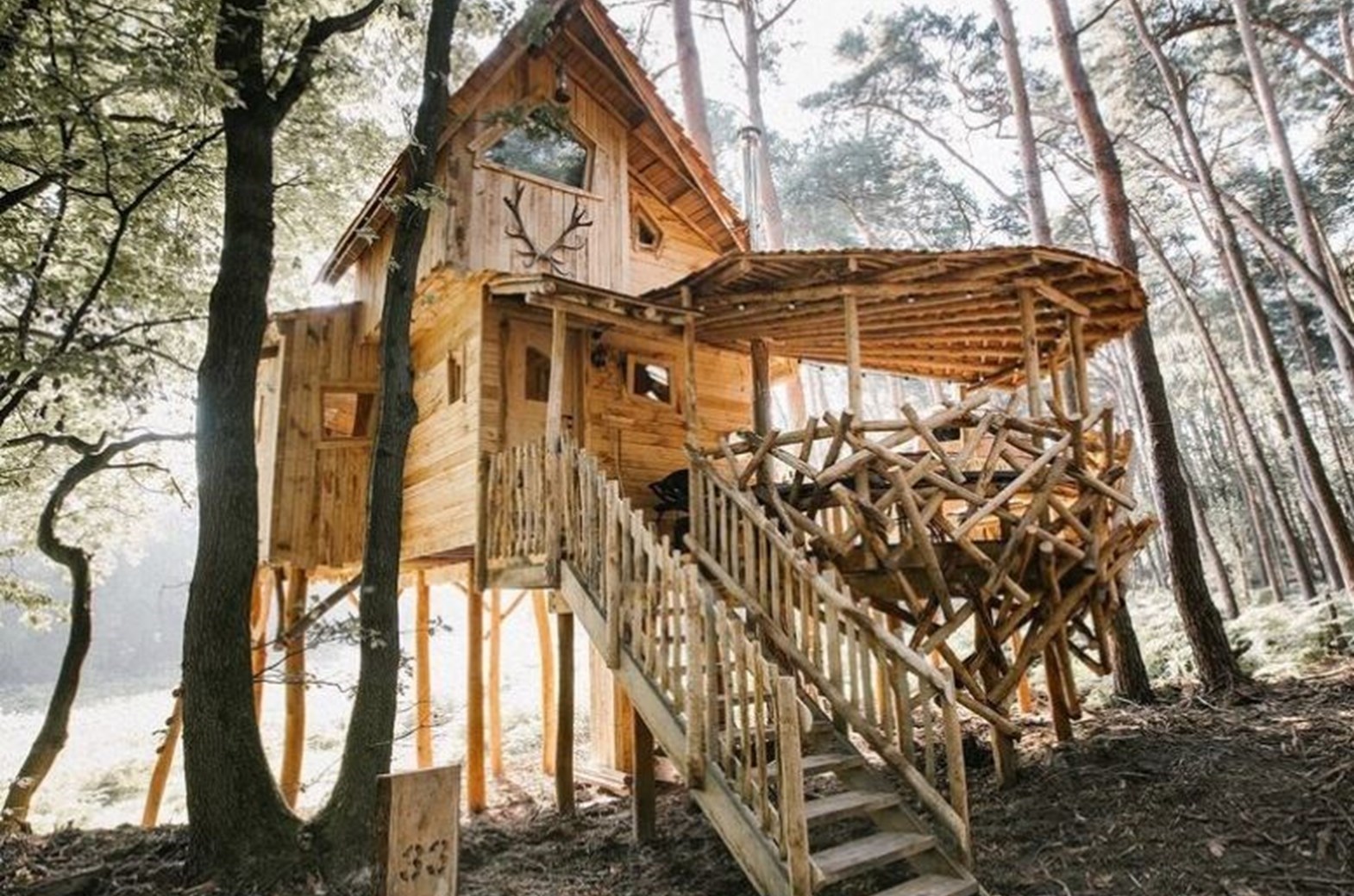 De Mooiste Boomhutten Van België - OrigineelOvernachten