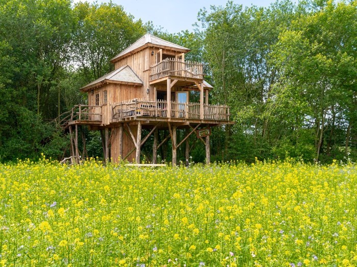 9. Luxe boomhut in Drenthe