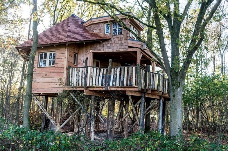 Luxe boomhut met een jacuzzi in Drenthe