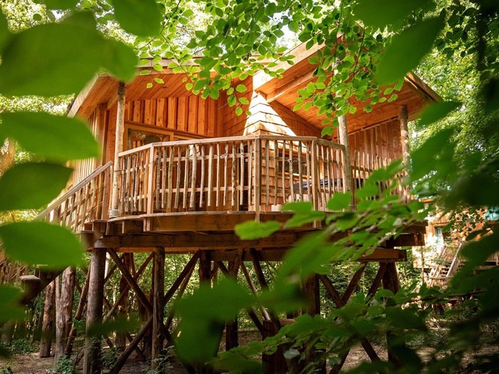 Een nacht in een boomhut: zo voelt het om tussen de bomen wakker te worden