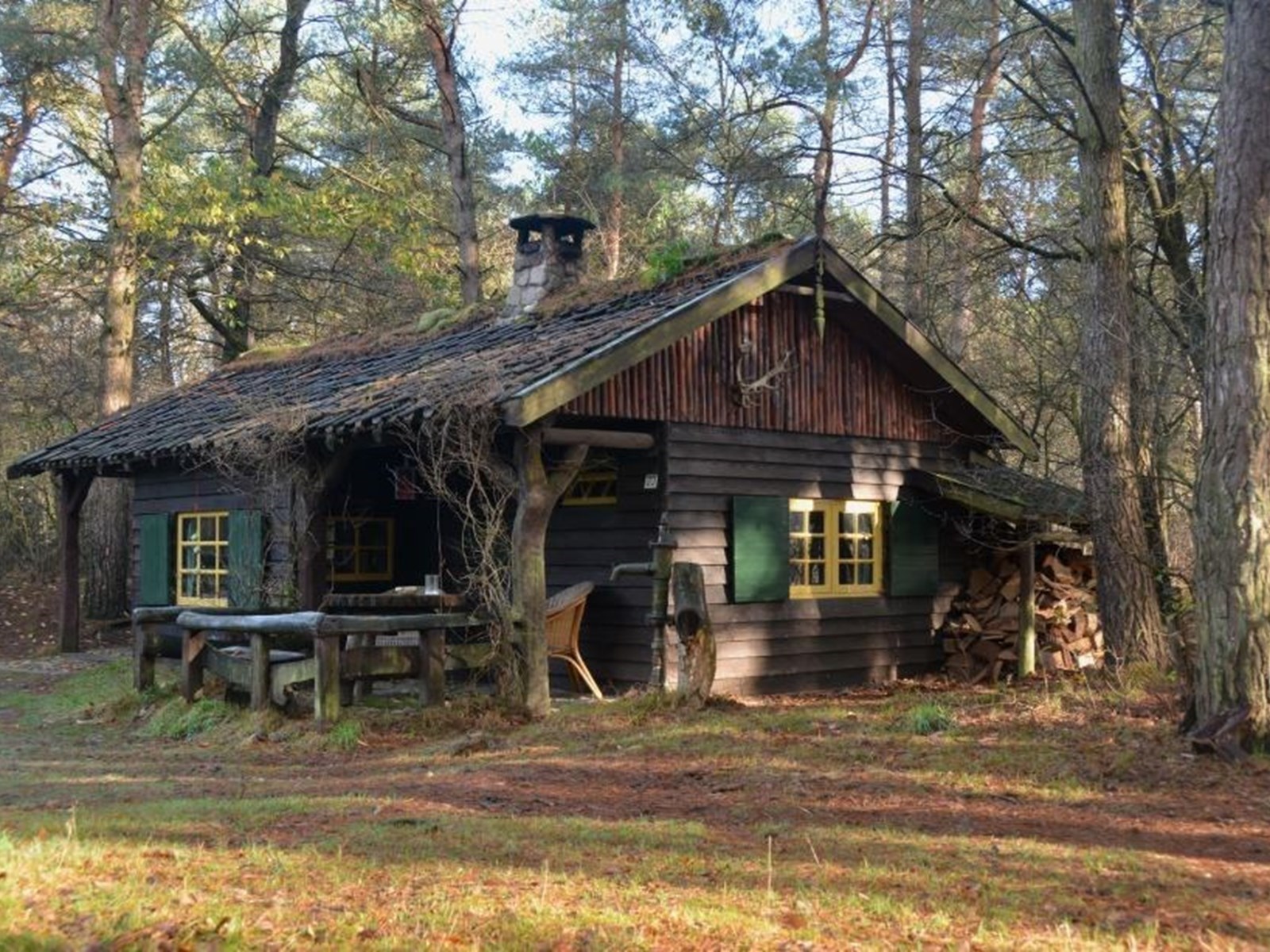 💜 Back to basic romantiek: intiem huisje op de Veluwe