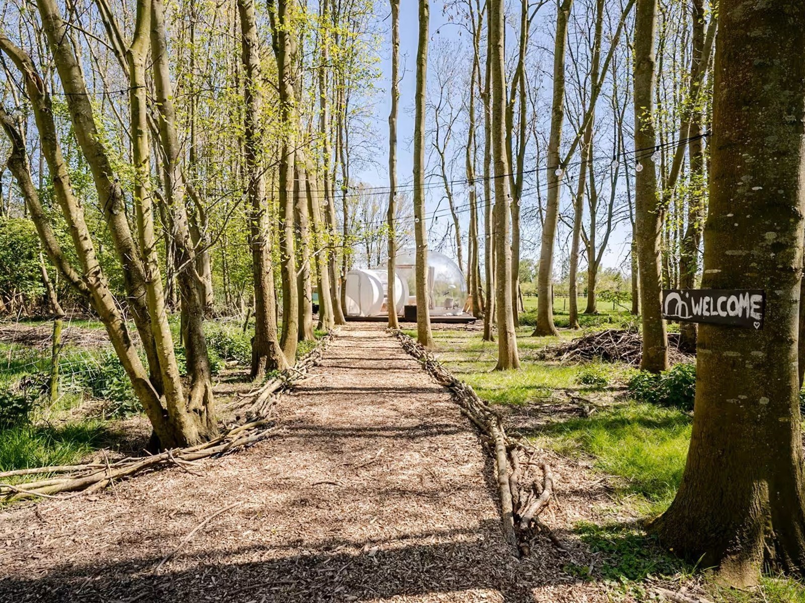 Een privébos in de Beemster
