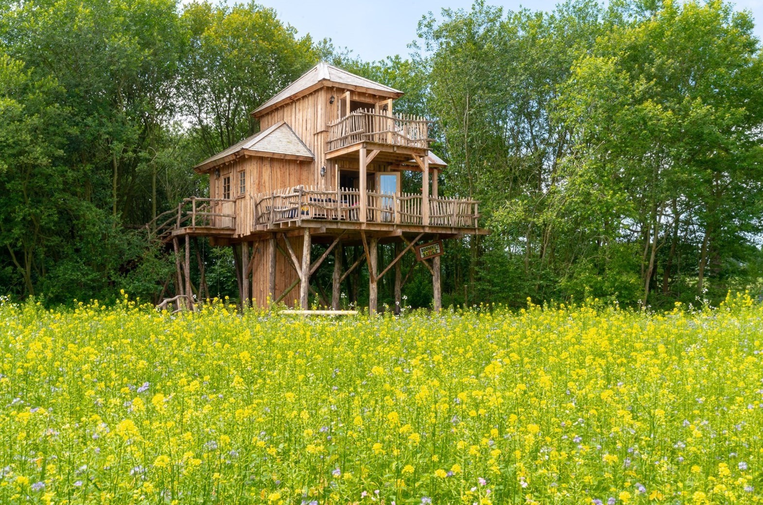 Boomhutten in Drenthe - dé boomhutprovincie van Nederland