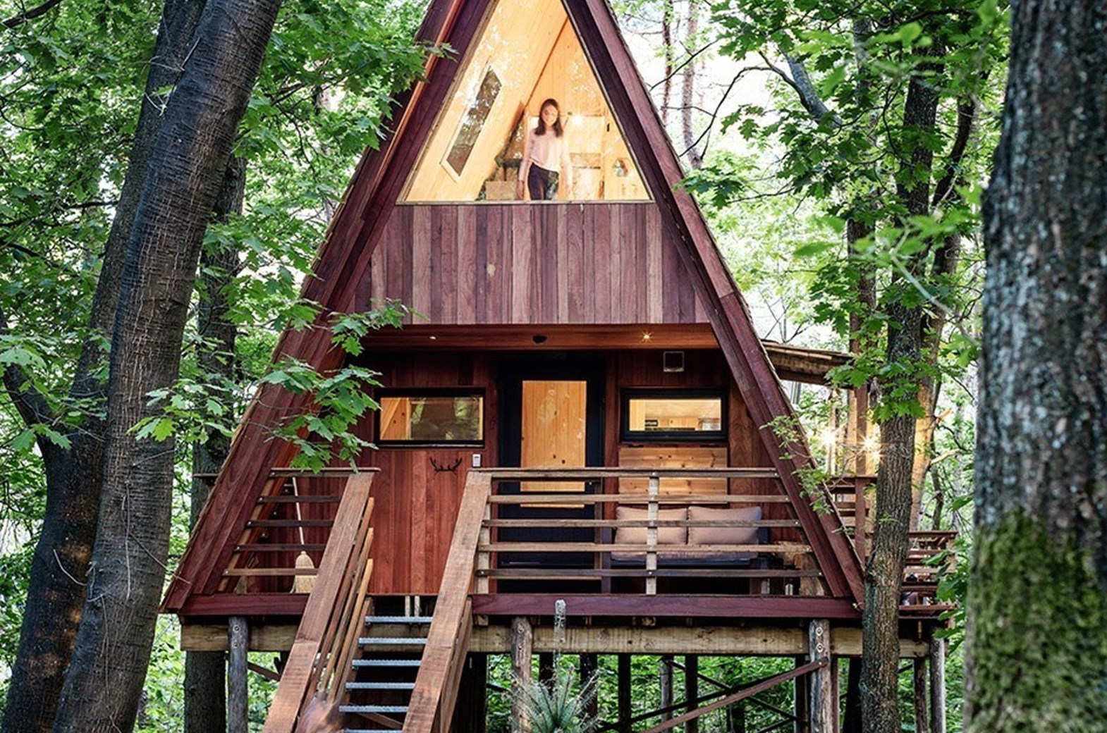 A-frame boomhut middenin het groen