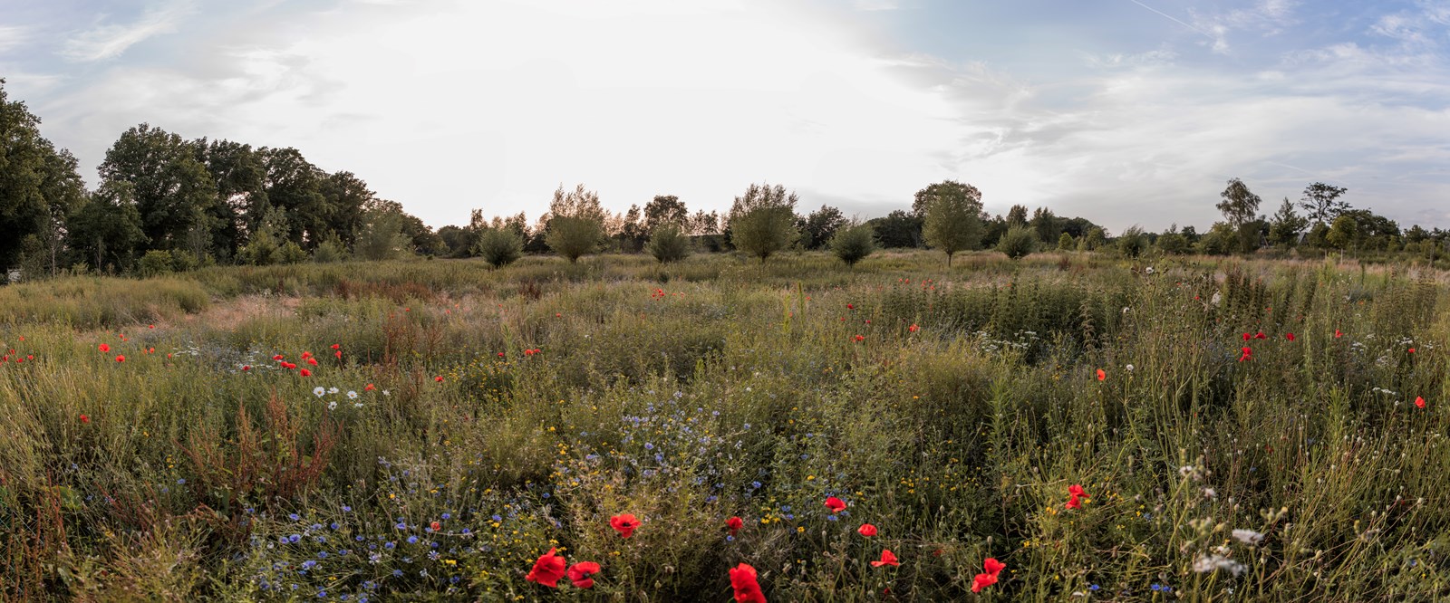 Van landbouwgrond naar natuurgebied