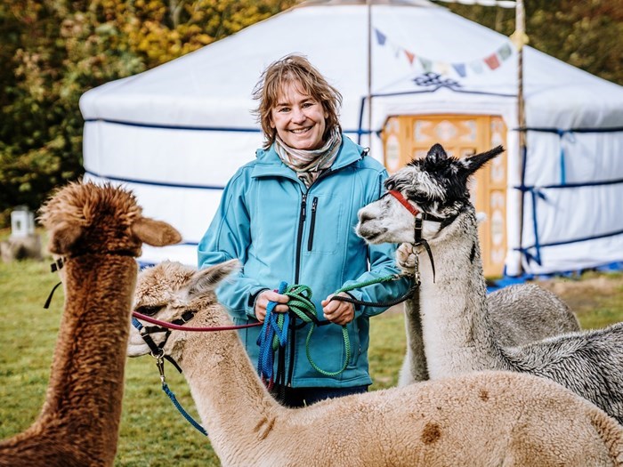 Proefslapers gezocht: Origineel overnachten in een Yurt op een Alpacaboerderij - inclusief Alpaca Onderonsje