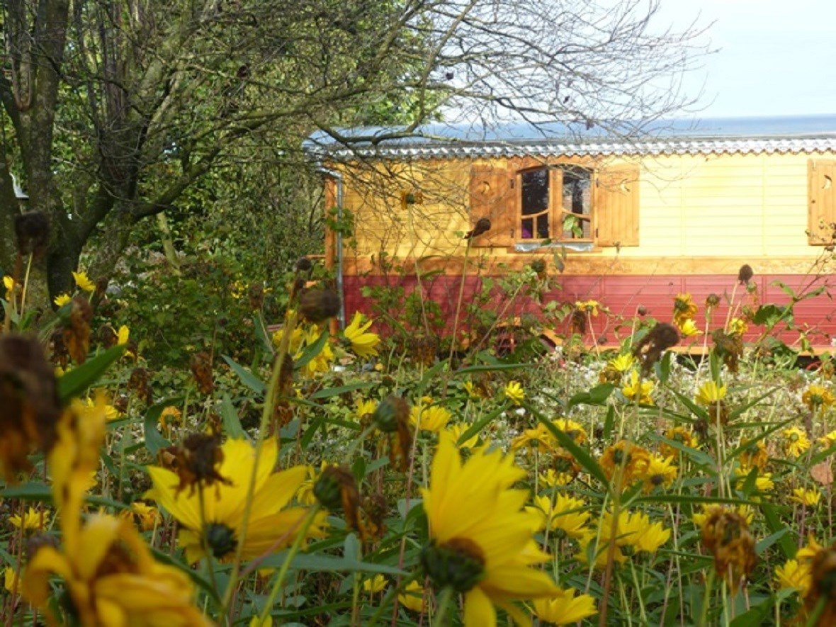 Hanneke wil dat elk kind een keer op een boerderij komt en dat probeert ze te bewerkstelligen via een educatieboerderij én slapen in een authentieke woonwagen