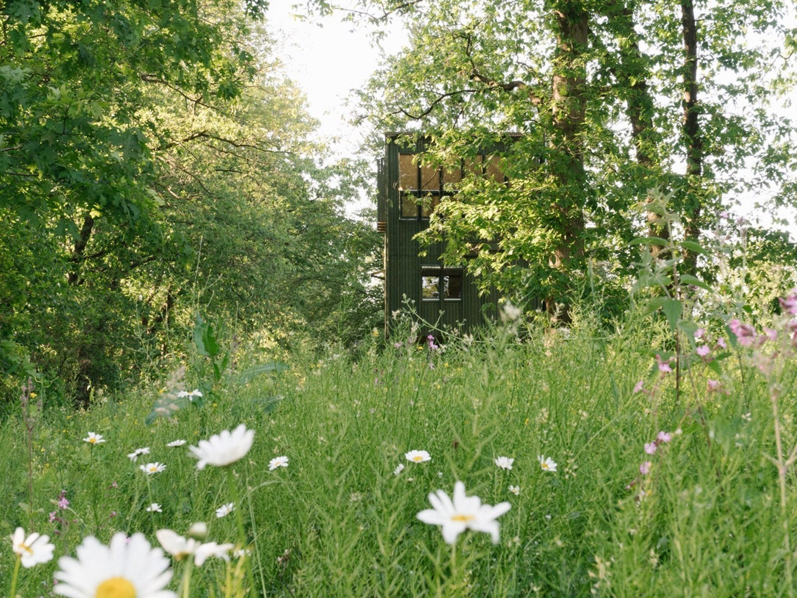 Van headhunter tot (wild)spotter